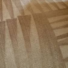 the 1 for carpet cleaning in allen tx