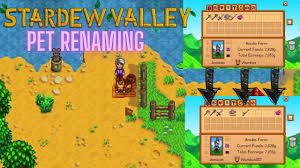 stardew valley pet renaming you