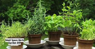 How To Build A Small Space Herb Garden
