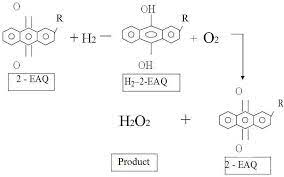 Producing Hydrogen Peroxide