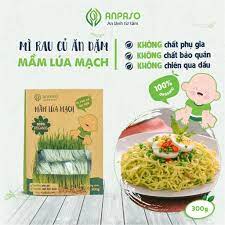 Mì Rau Củ Ăn Dặm Cho Bé Hữu Cơ Mầm Lúa Mạch Organic Anpaso từ 7 tháng bổ  sung chất xơ, cải thiện táo bón 300g - Thực phẩm ăn liền