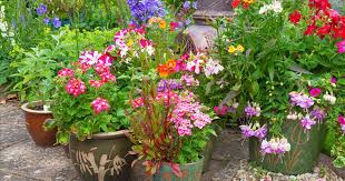 beautiful garden containers