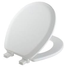 Round Enameled Wood Toilet Seat