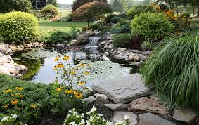 how to add a fish pond or water garden