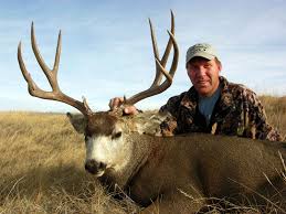 It's also helpful to learn how to judge mule deer in the field. Corey Jarvis And Hunting Canadian Mule Deer Mossy Oak