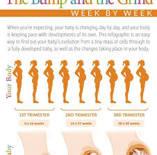 Pregnancy Bump Chart 37 Baby Bump Week By Week Chart Ideen