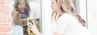 For heavily discolored cases, take the cap sealant or spray head off and microwave the solution for approximately 20 seconds. Do It Yourself Divas Diy Cleaning Hard Water Off Exterior Windows