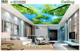 3d customized wallpaper at rs 70 square