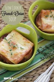 slow cooker french onion soup diary