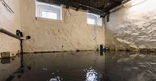 Prevent Your Basement From Flooding