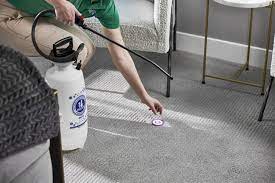 pet odor removal you need p u r t asap