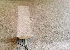 commercial green carpet cleaning