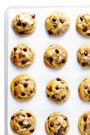 gourmet chocolate chunk frozen