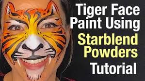 tiger face paint face painting