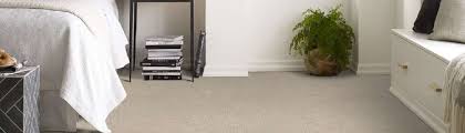 shaw pet perfect carpet