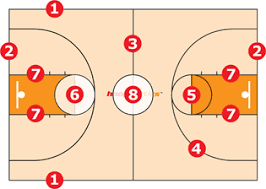 court lines areas