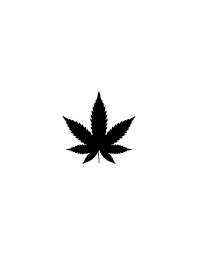 100 pot leaf pictures wallpapers com