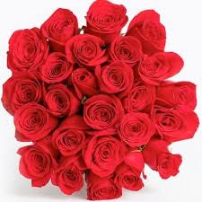 Check spelling or type a new query. The Top 6 Sites To Buy Valentine S Day Flowers E Online Deutschland