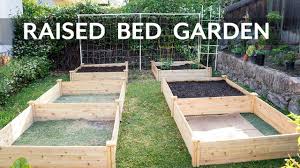 raised bed gardening how to start a