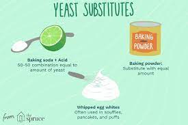 yeast subsutes how to get baked