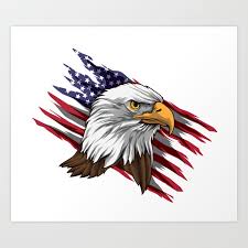 Patriotic Bald Eagle Head Stars And