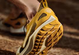 Gyakusou Nike Air Zoom Pegasus 36 Trail Red Yellow Release