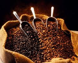 Amazon Com Mexican Chiapas H G E P Fair Trade Organic Coffee Beans Light Roast City 2 5 Pounds Whole Beans Grocery Gourmet Food