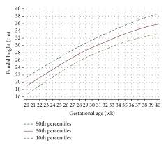 fundal height growth curve at the 90th