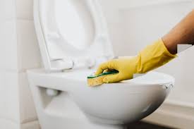 Remove Rust From Bathroom Toilets