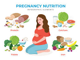 nutrition affect the foetus