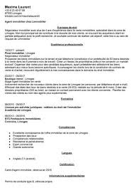 Lettre de motivation pour une candidature en bts mse via www.letudiant.fr. Cv Agent Immobilier Exemples Pour Tout Niveau Secteur