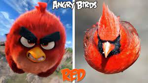 Angry Birds Characters In Real Life - YouTube