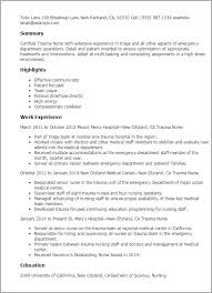 Basic Resume Template         Free Samples  Examples  Format     toubiafrance com