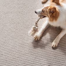 carpet flooring simi valley ca