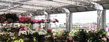 for your retail greenhouse garden