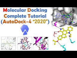 molecular docking for beginners