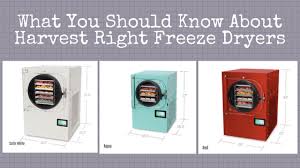 best freeze dryers for drying food at