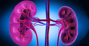 what is lupus nephritis treatment and