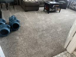 sons carpet cleaning salinas ca