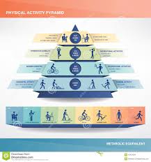 Physical Activity Pyramid Stock Vector Illustration Of