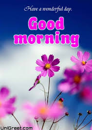 good morning flowers images hd pics