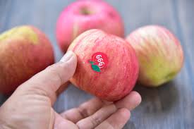 Gambar buah apel | pixabay.com. Buah Apel Fuji 999 Dan 10 Manfaat Mengkonsumsi Buah Apel Planter And Forester