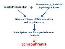 Structural Biochemistry Schizophrenia Wikibooks Open