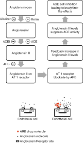 Renin Angiotensin System Mechanisms Behind Arbinduced