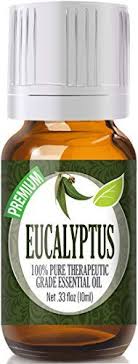 It has many great properties and it's an essential oil that most. 12 Eucalyptus Oil Benefits The Best Ways To Use Eucalyptus Oil