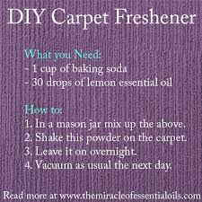 homemade carpet freshener with