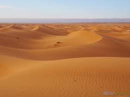 The sahara desert is the world's largest hot desert, located in north africa. Sahara Desert Tour How To Plan The Trip Of Lifetime Wild Junket Adventure Travel Blog
