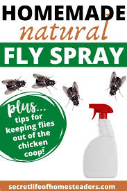 homemade fly spray to keep your en