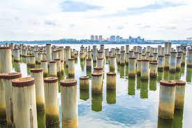 why your dock s foundation piling is so