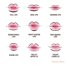 diffe types of lip shape